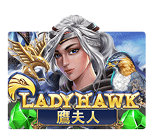 รีวิวเกม Lady Hawk