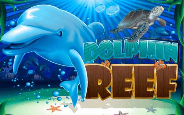 Dolphin Reef SlotXO