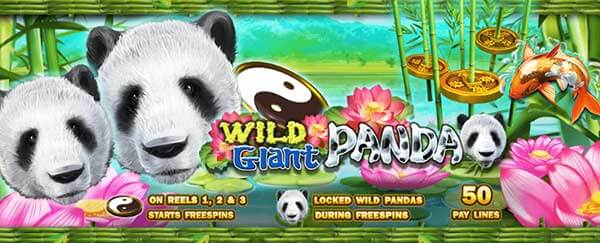 Wild Giant Panda SlotXo